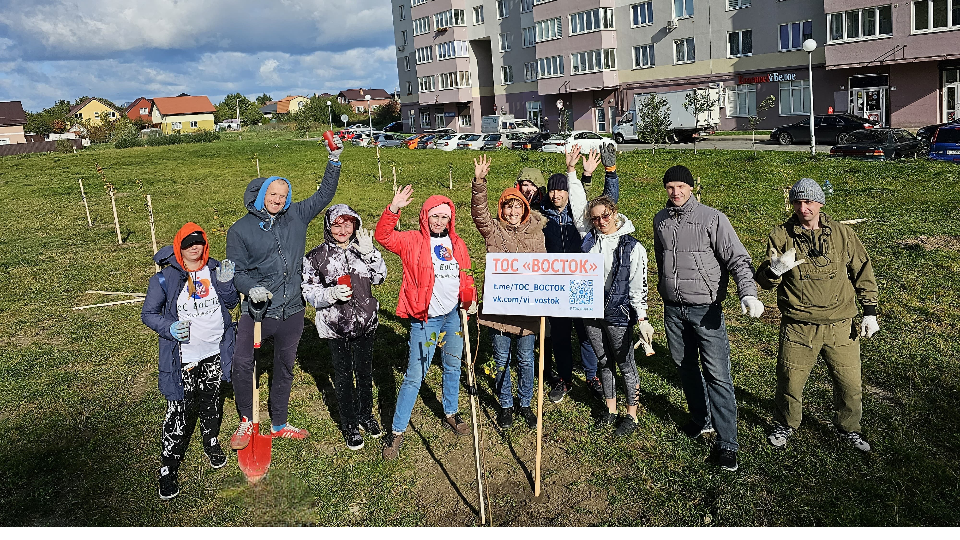 ТОС занимается озеленением своей территории