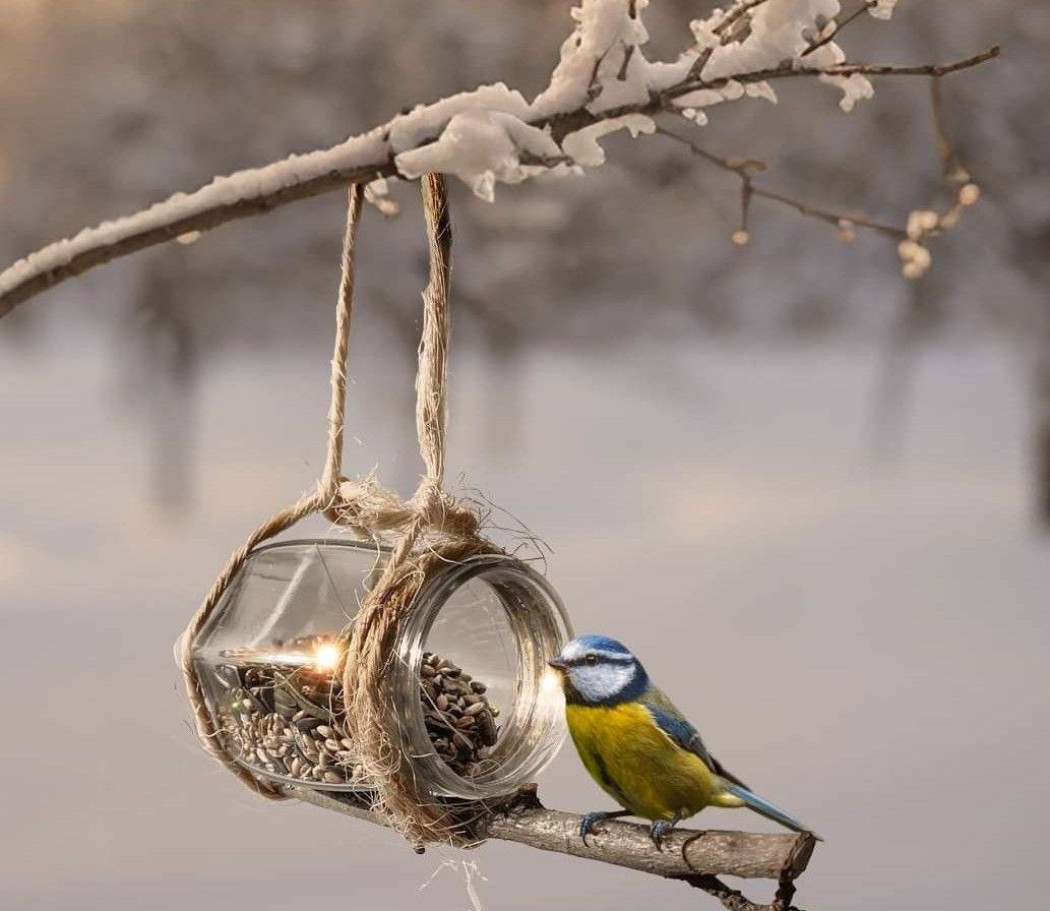 Пережить зиму Пережить зиму