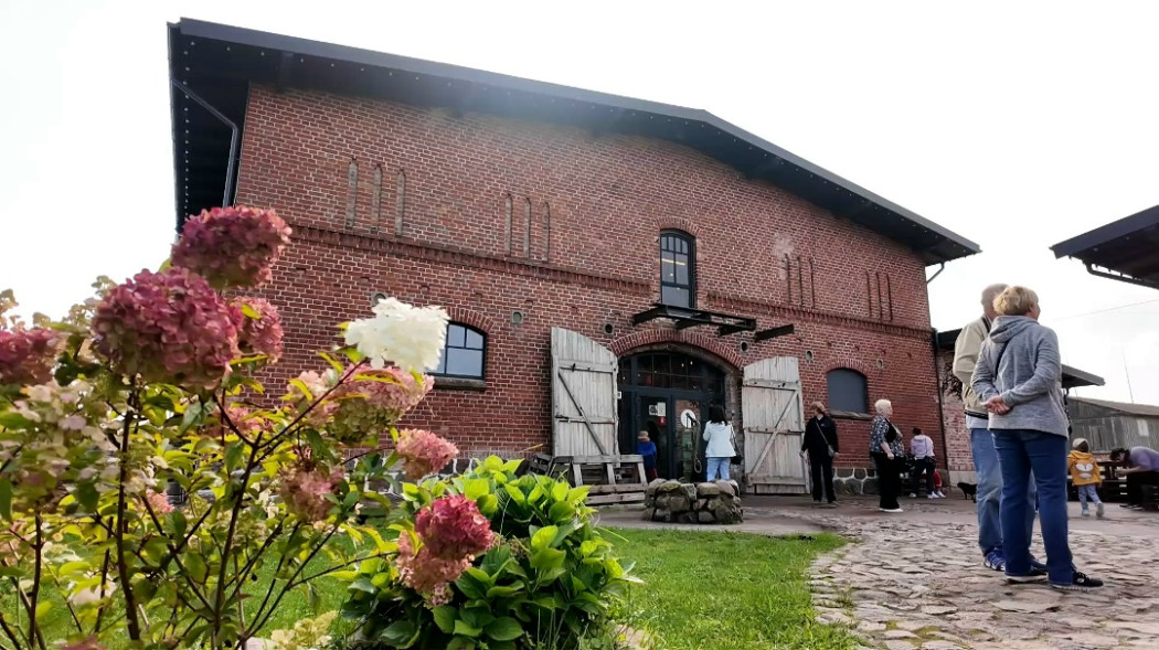 Сыр в шоколаде Сыр в шоколаде