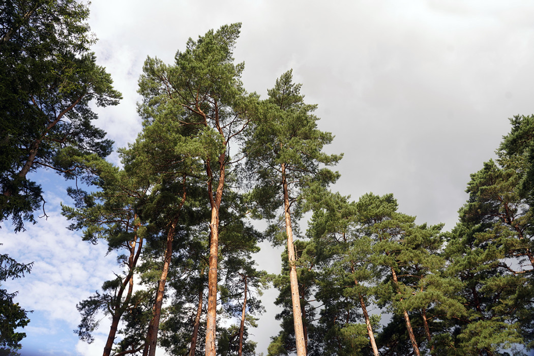 Завершается пожароопасный сезон