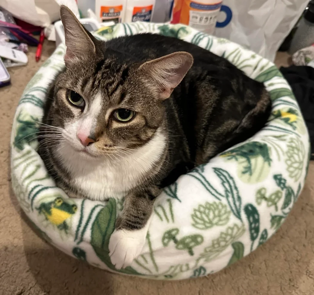 Доброе дело