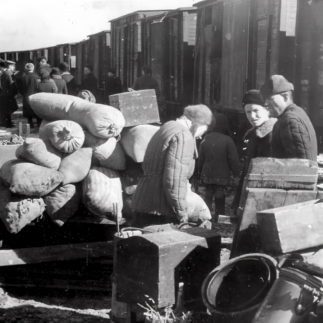 Первых переселенцев внесут в базу