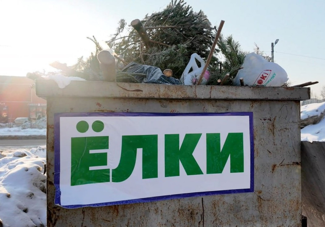 Вторая жизнь