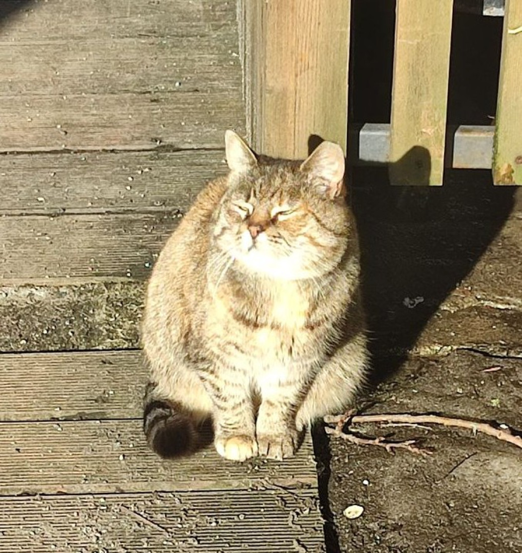 Необычный день рождения Необычный день рождения