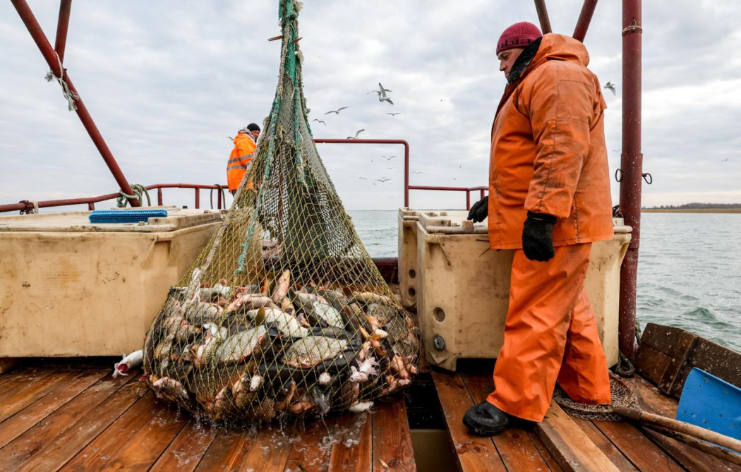 Ловись, рыбка!