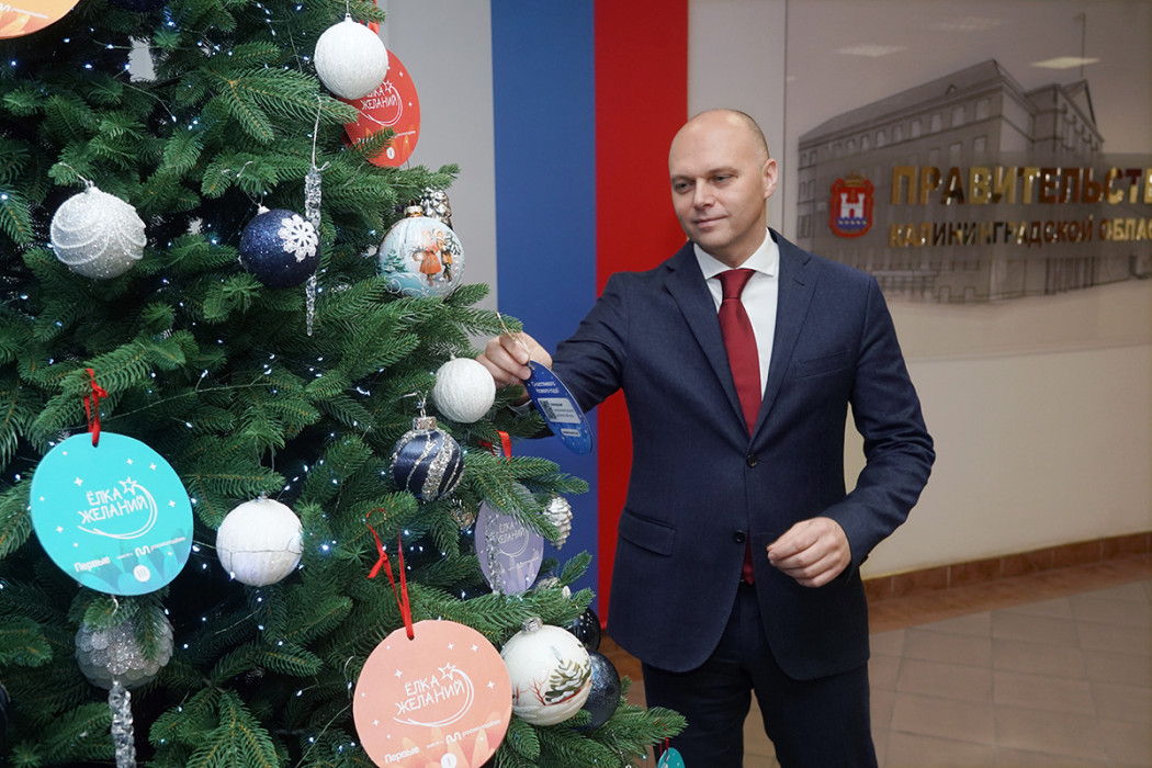 «Ёлка желаний» – новогоднее чудо