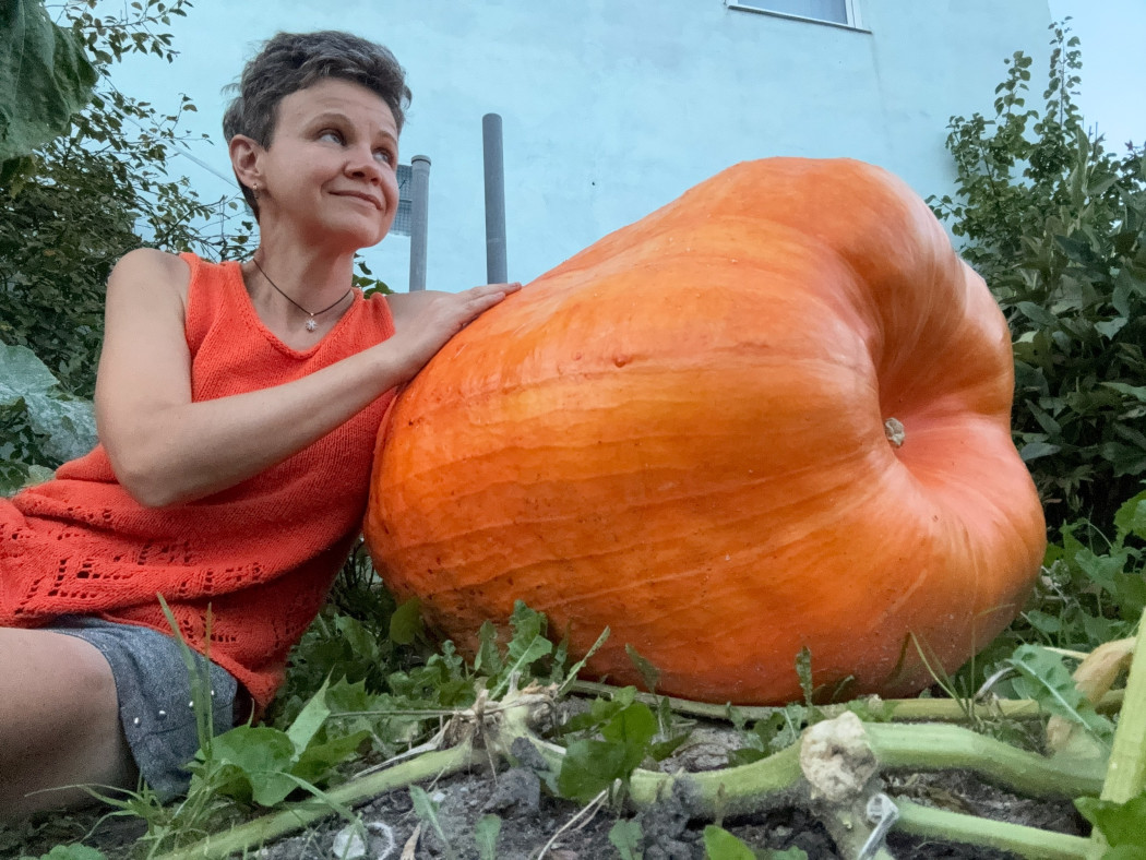 Повелительница тыкв Повелительница тыкв