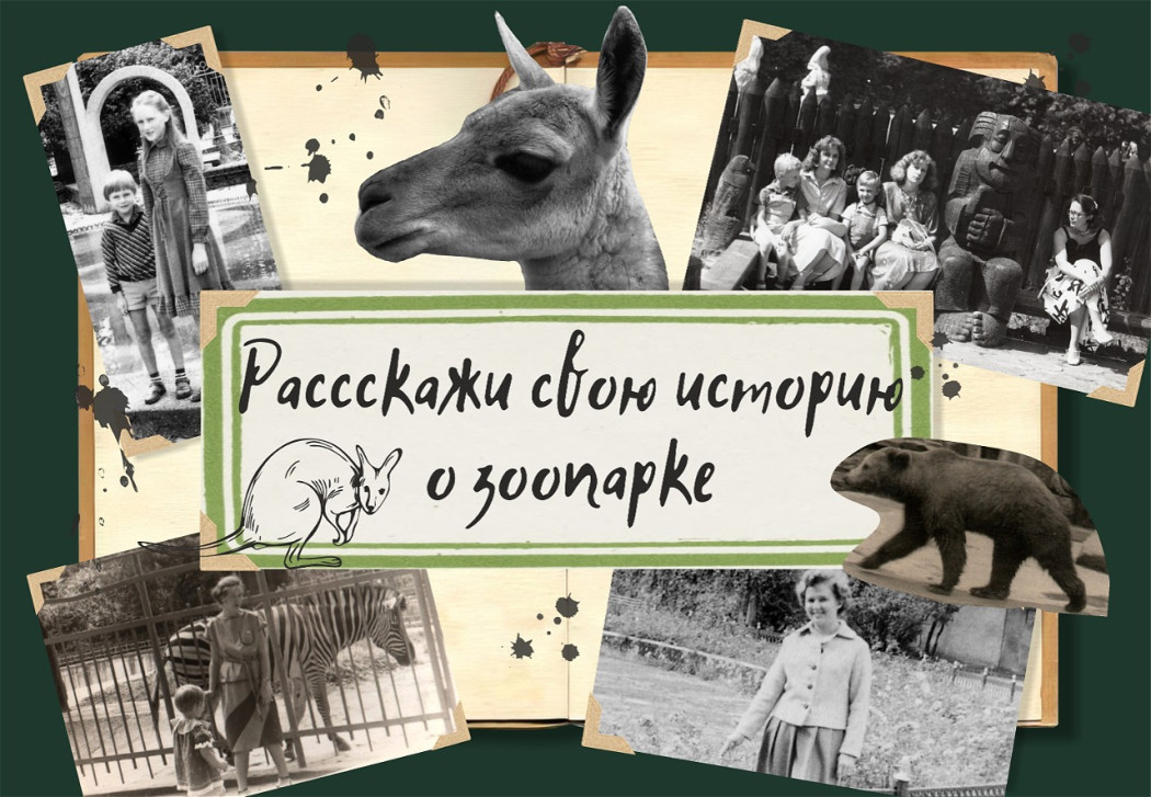 Юбилейную книгу напишем вместе! Юбилейную книгу напишем вместе!