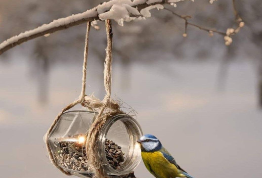 Пережить зиму