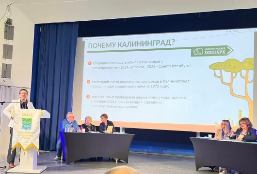 Зоопарки в гости к нам