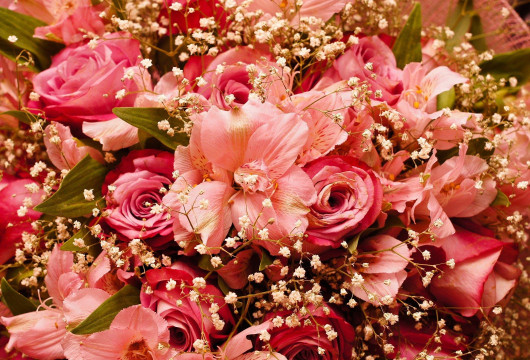 За век вы повидали много...