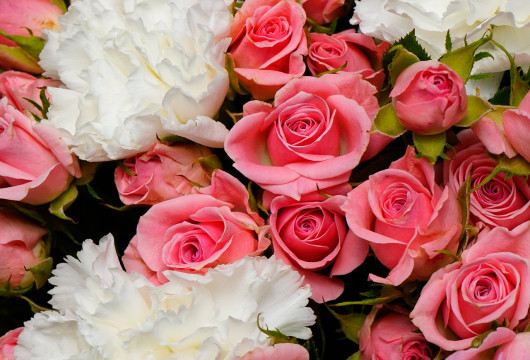 Праздник столетия