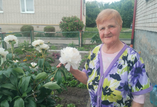 Из всех цветов самые любимые – пионы