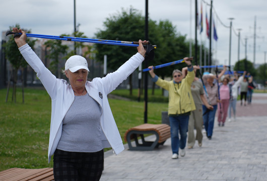 Серебряные гранты