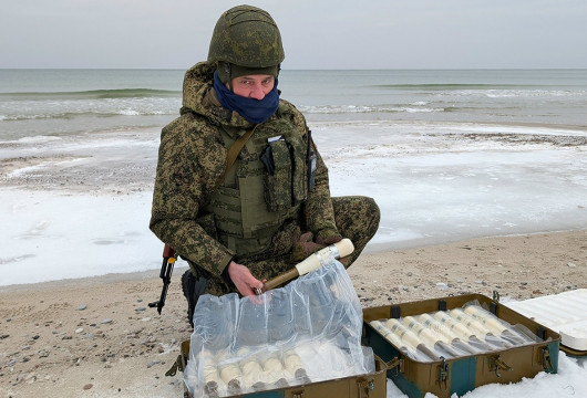 Оборона янтарного берега