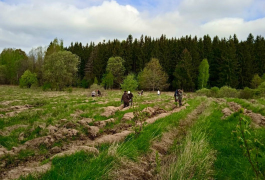 Экология: от субботников до национальных проектов