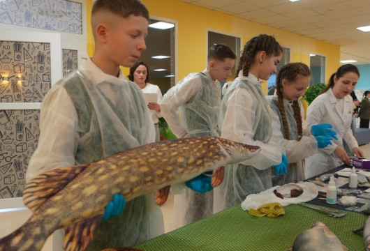 От клубники до ветеринарии