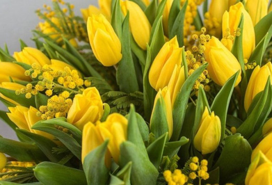 Игорь Руденя поздравил женщин с Международным женским днём 8 марта