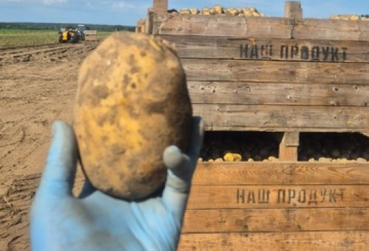 Своё – в магазины!