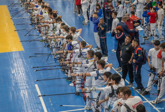 Бронзовые стрелы