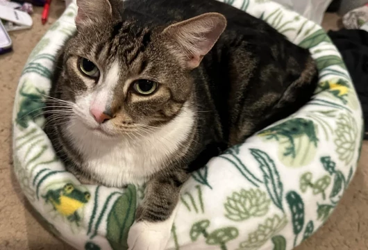 Доброе дело