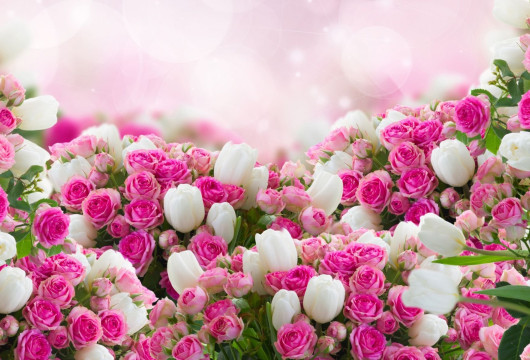 И дольше века длится жизнь...