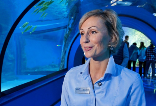 Мечта с плавниками