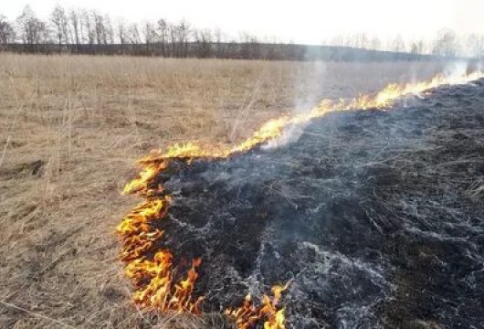 Пал - от слова «палить»
