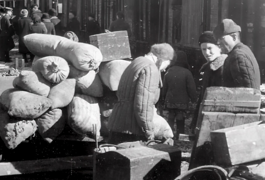 Первых переселенцев внесут в базу