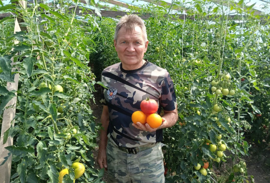 Опыт и трудолюбие дают свои плоды