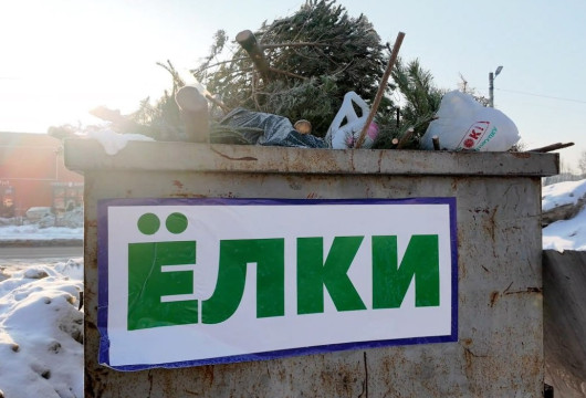 Вторая жизнь