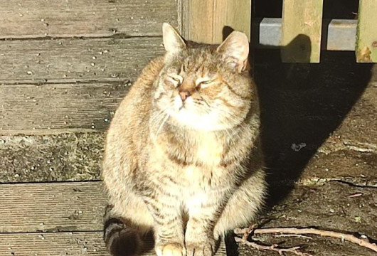 Необычный день рождения