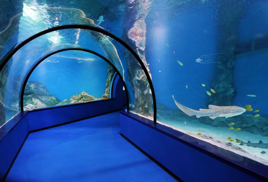 Стройки года