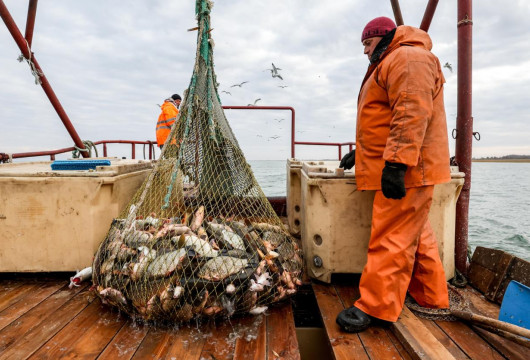 Ловись, рыбка!