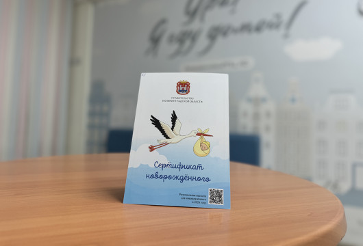 «Сертификат новорождённого» для жительниц Калининградской области