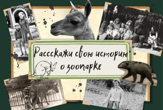 Юбилейную книгу напишем вместе!