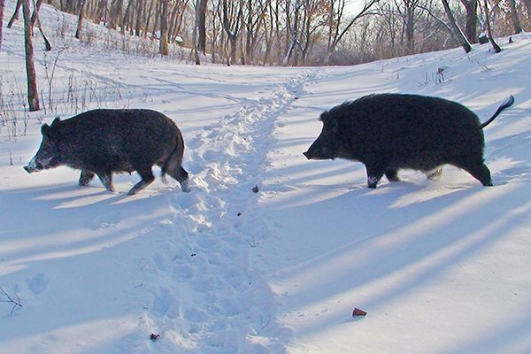 «На первый–второй рассчитайся!»