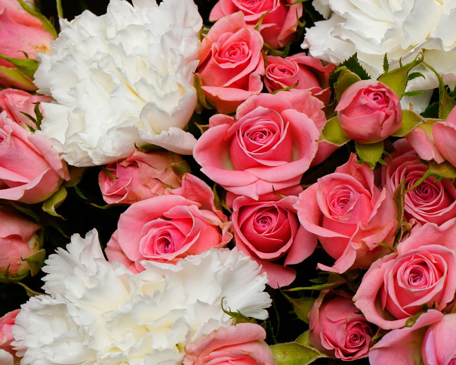 Праздник столетия