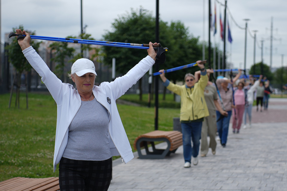 Серебряные гранты Серебряные гранты
