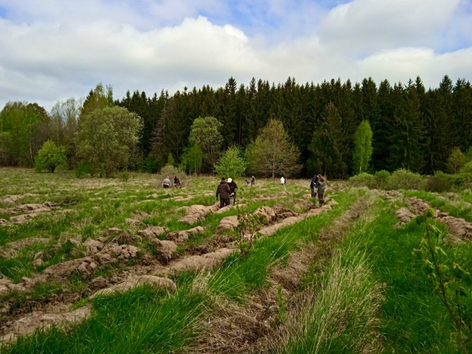 Экология: от субботников до национальных проектов