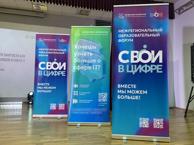 «СВОИ в цифре: путь в профессию»