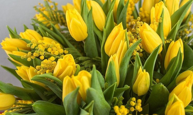 Игорь Руденя поздравил женщин с Международным женским днём 8 марта