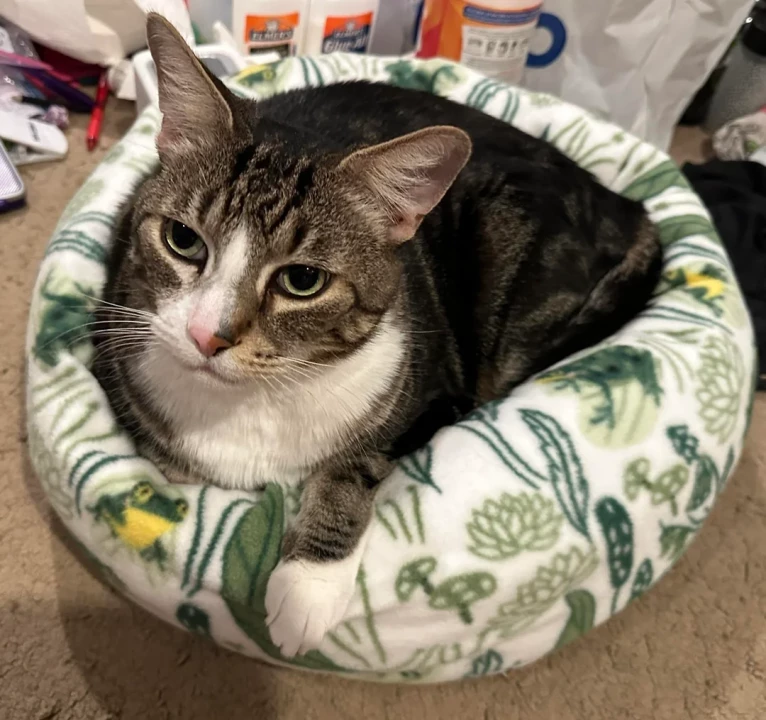 Доброе дело Доброе дело