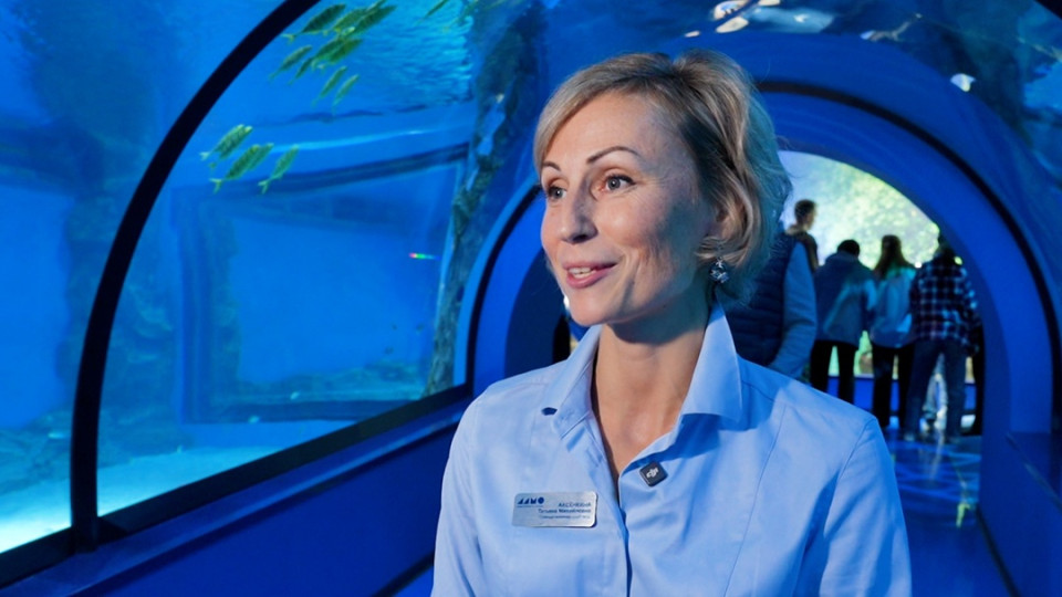 Мечта с плавниками Мечта с плавниками