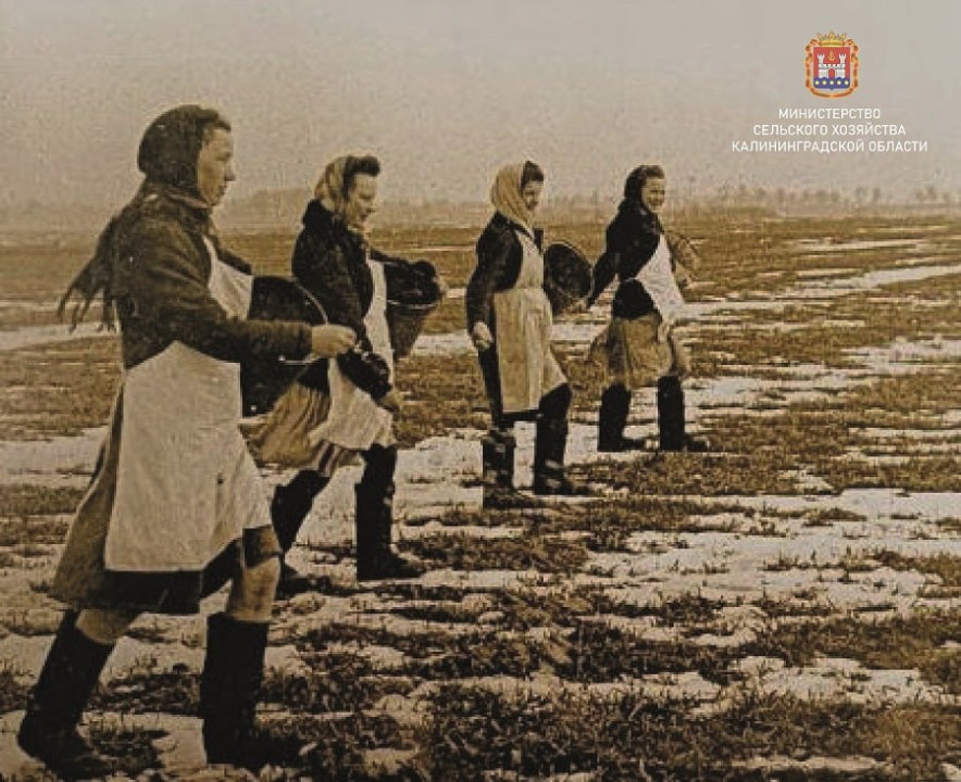 От первых шагов до продбезопасности От первых шагов до продбезопасности