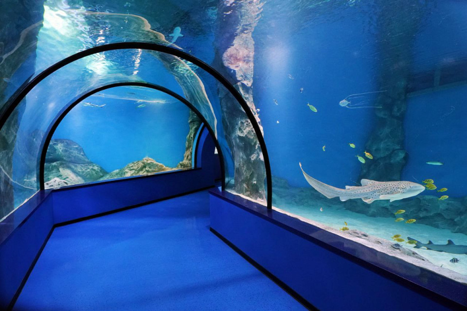 Стройки года