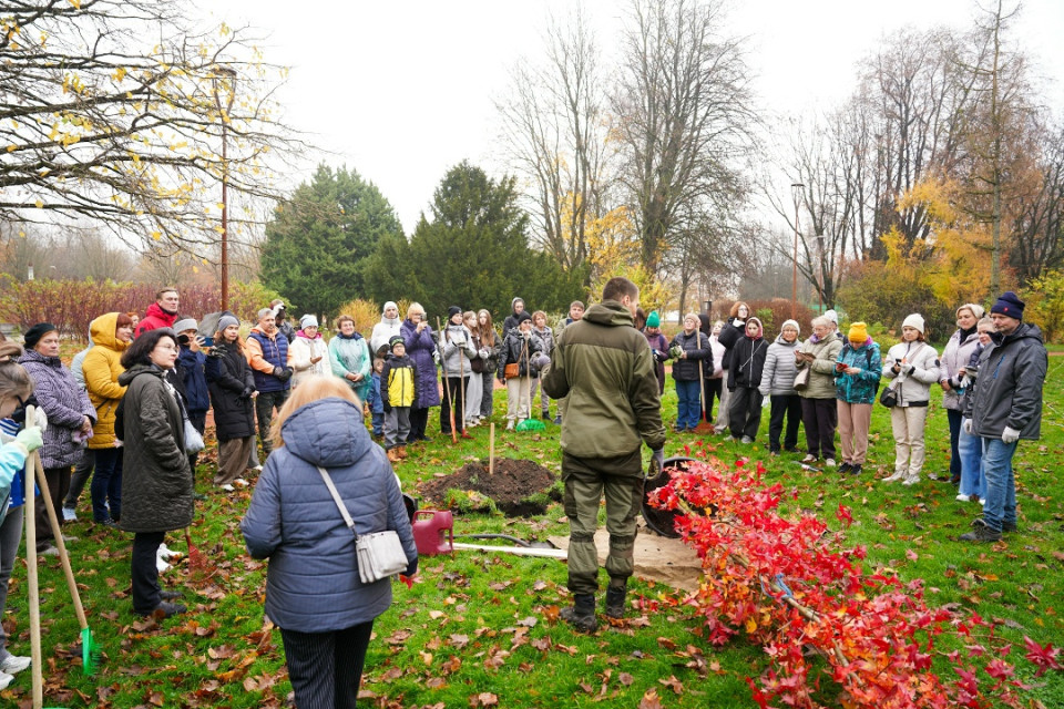 И дерево посадили, и листья убрали И дерево посадили, и листья убрали